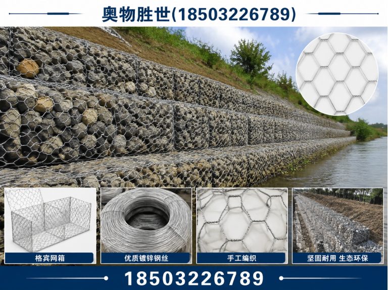 莱芜格宾网展示图
